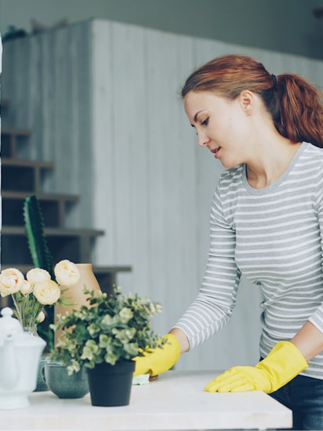 Professional cleaning