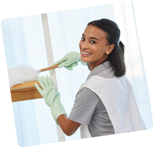 Cleaning Professional